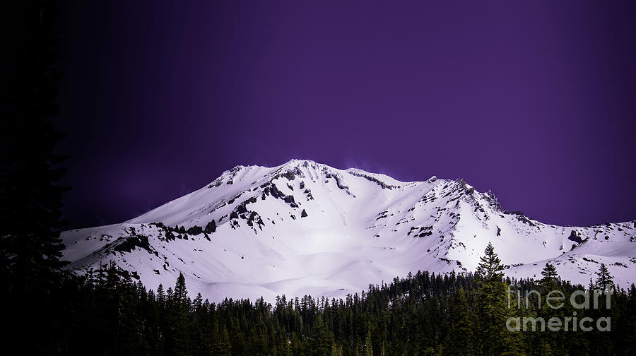 Mount Shasta Magenta Photograph by Blake Webster