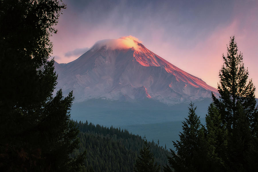 Mount. Shasta Morning glow Photograph by Gary Geddes