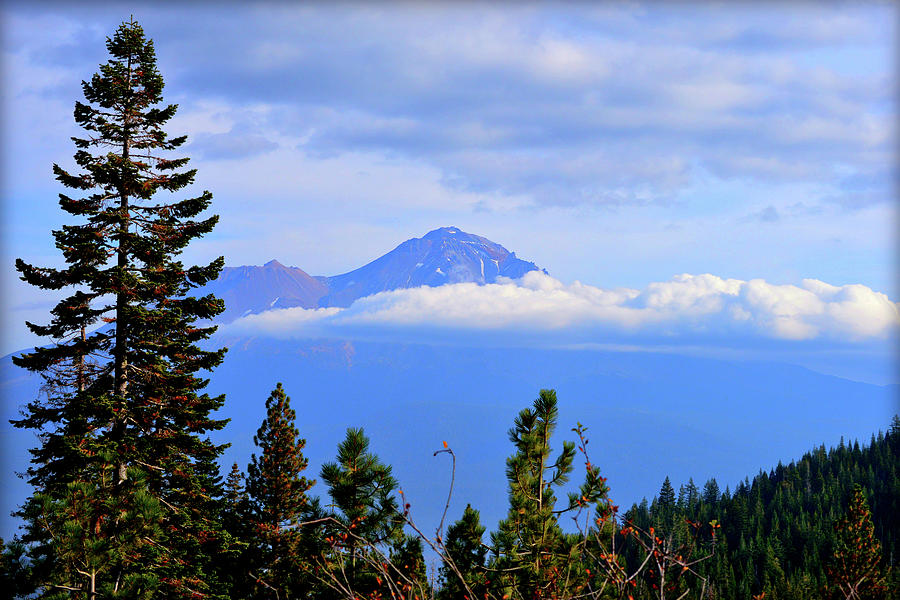 Mount Shasta, Northern California Photograph