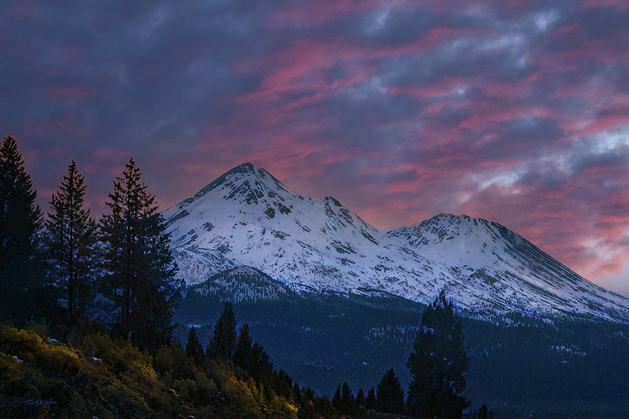 Mount Shasta Sunset D Digital Art by Frank Wilson