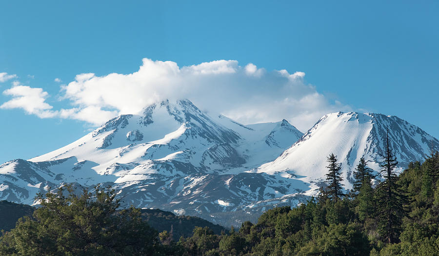 Mount Shasta Photograph by Tony Edwards | Pixels