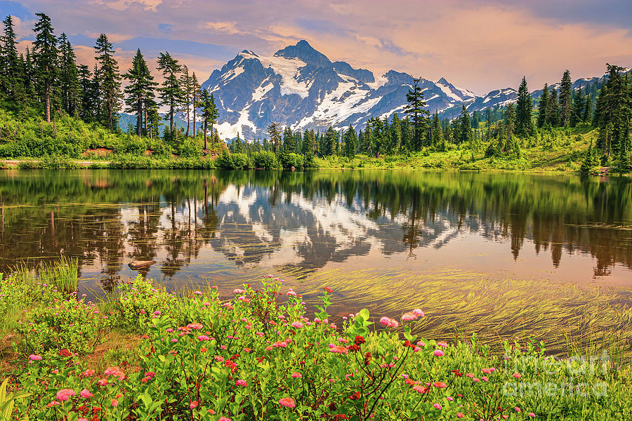 Mount Shuksan, Picture Lake, Washington State Photograph by Henk Meijer Photography