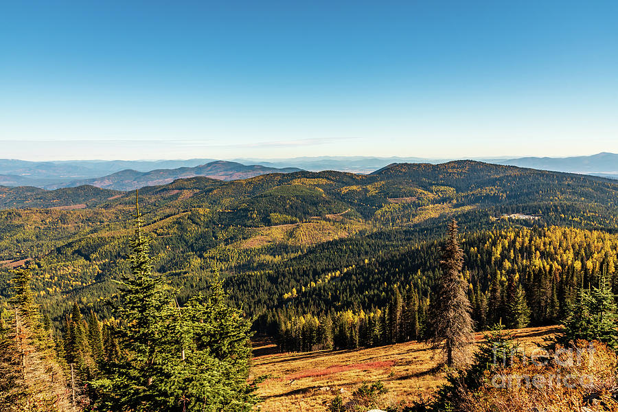 Mount Spokane State Park Photograph By Sam Judy - Pixels