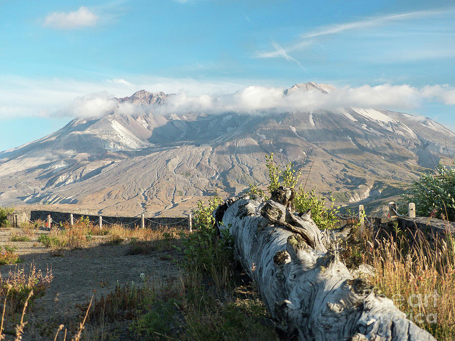 Mount St Helens Photograph by Rod Jones