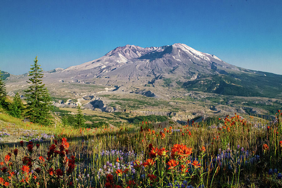 Mount St. Helens Photograph - Mount St. Helens, Washington by Randy D Morrison