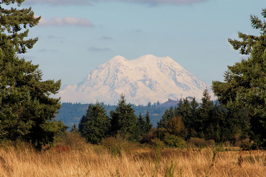 Mount Tacoma Rainier Mountain in Autumn Photograph by Tracie Schiebel