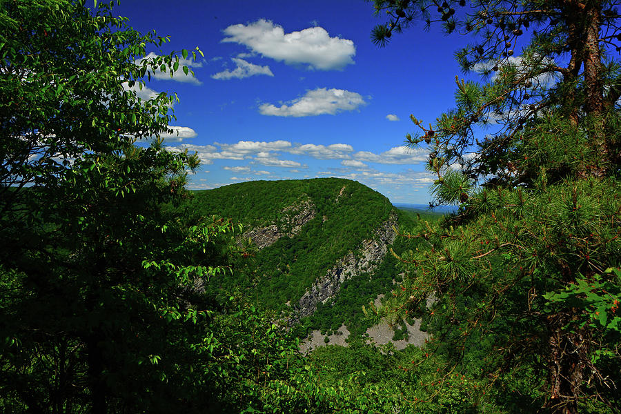 Mount Tammany from Mount Minsi Framed By Trees Photograph by Raymond Salani III