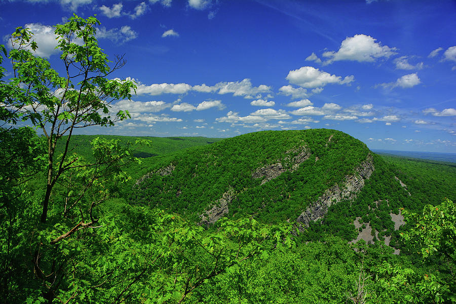 Mount Tammany from Mount Minsi on the PA Appalachian Trail with Spring Green 2 Photograph by Raymond Salani III