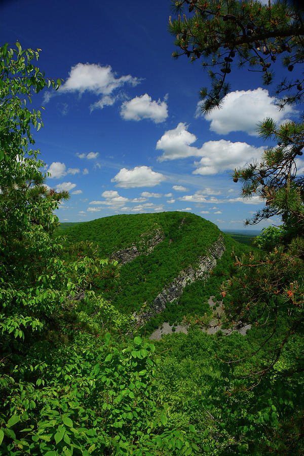 Mount Tammany from Mount Minsi on the PA Appalachian Trail with Spring Green Photograph by Raymond Salani III