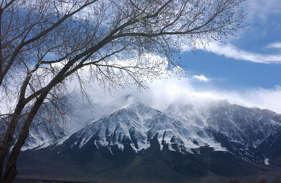 Mount Tom - Bishop - Sierra Nevada Photograph by Bonnie Colgan