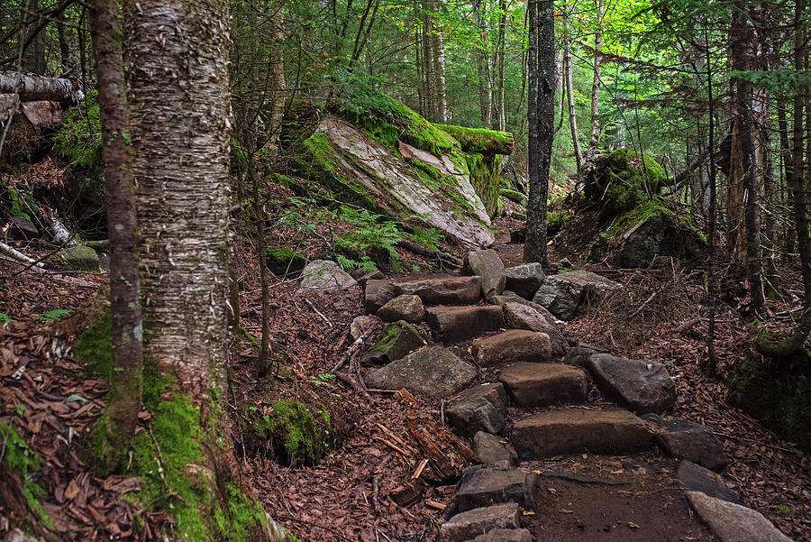 Mount Van Hoevenberg Hiking Trail Large Boulder Adirondacks Lake Placid ...