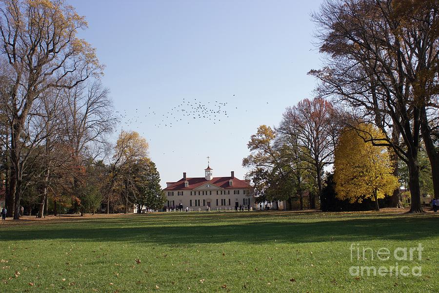 Mount Vernon Photograph by Annamaria Frost