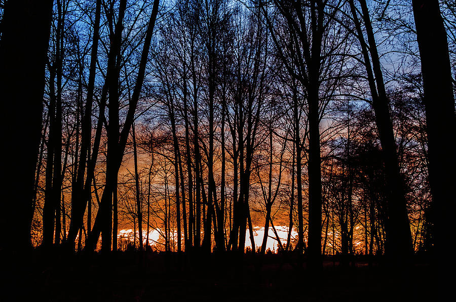 Sunset Photograph - Mount Vernon Sunset by David Patterson