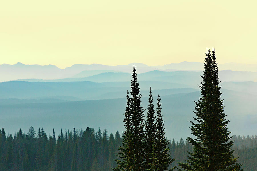 Mount Washburn Mist Photograph by Todd Klassy