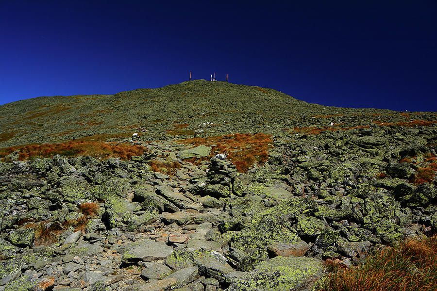 Mount Washington Summit Cone from Start of the Alpine Zone Photograph by Raymond Salani III