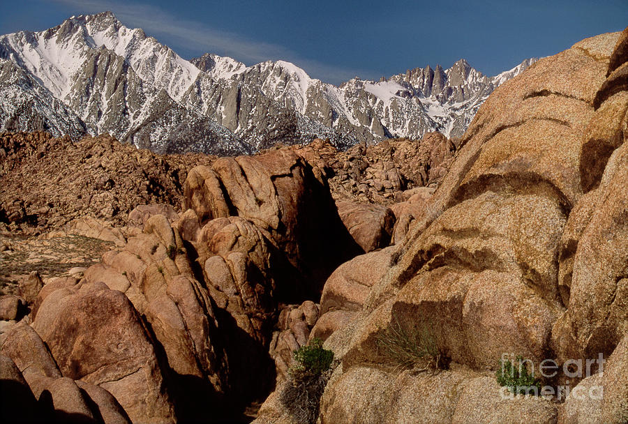 Mount Whitney Alabama Hills Eastern Sierras California Photograph by Dave Welling