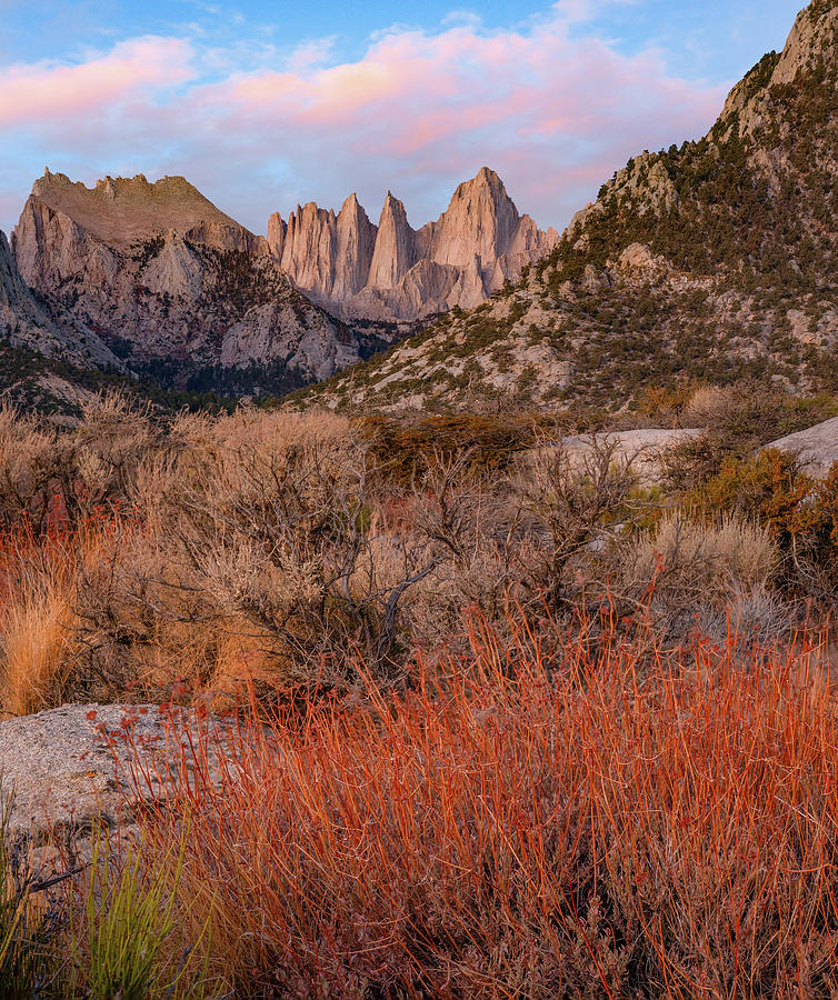 Nature Photograph - Mount Whitney, Eastern Sierra Nevada, California, USA by Tim Fitzharris