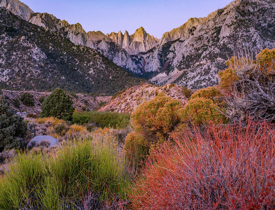 Nature Photograph - Mount Whitney, Sequoia National Park Inyo, National Forest, California, USA by Tim Fitzharris