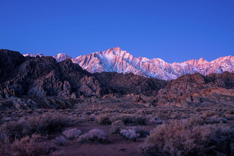 Mount Whitney with morning glow Photograph by Kyle Lee