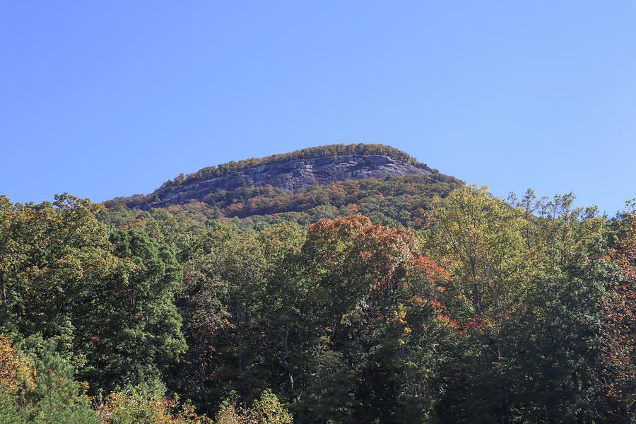 Mount Yonah Stare Photograph by Ed Williams