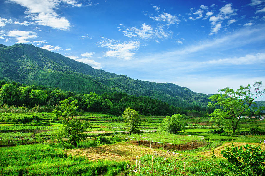 Mountain and countryside scenery Photograph by Carl Ning