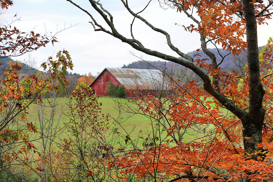 Mountain Barn in Autumn - Ouachitas of Arkansas - Fall 2020 Photograph by William Rainey
