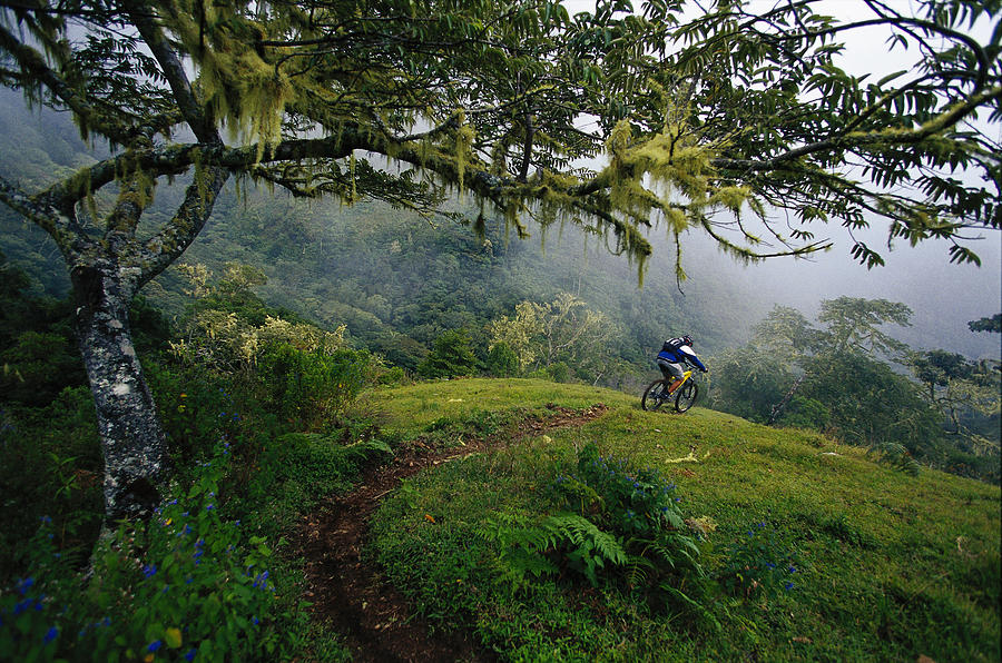 Mountain Bike Costa Rica Photograph by GibsonPictures