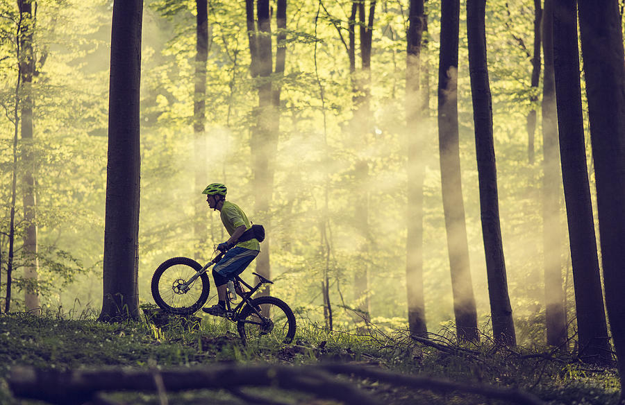 Mountain bike riding in the forest Photograph by David Trood