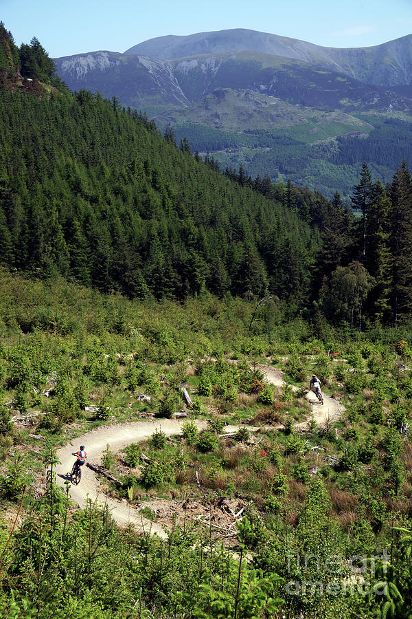 Mountain bike trail Photograph by Robert Douglas