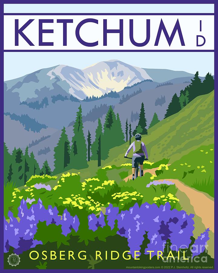 Mountain Biking the Osberg Ridge Trail, Ketchum, Idaho Digital Art by PJ Steinholtz Mountain Biking the Osberg Ridge Trail, Ketchum, Idaho Digital Art by PJ Steinholtz