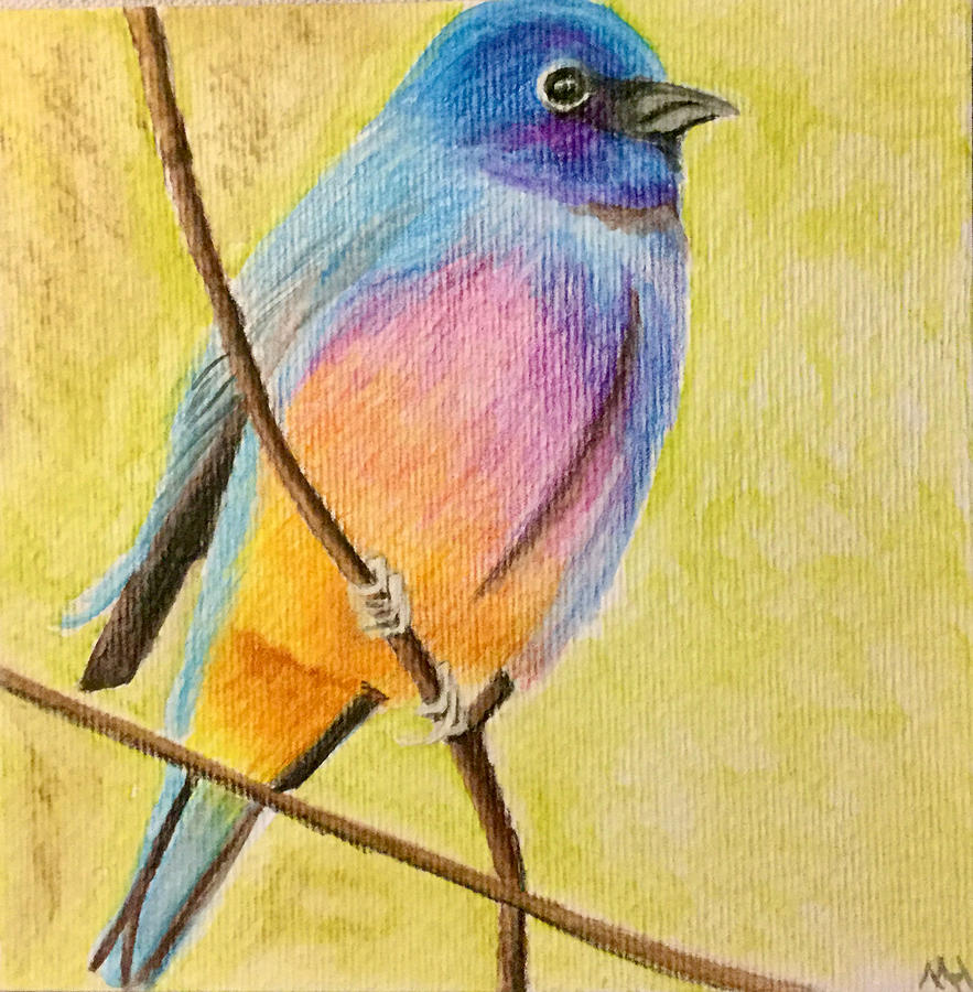 Mountain Bluebird Painting by Monica Habib