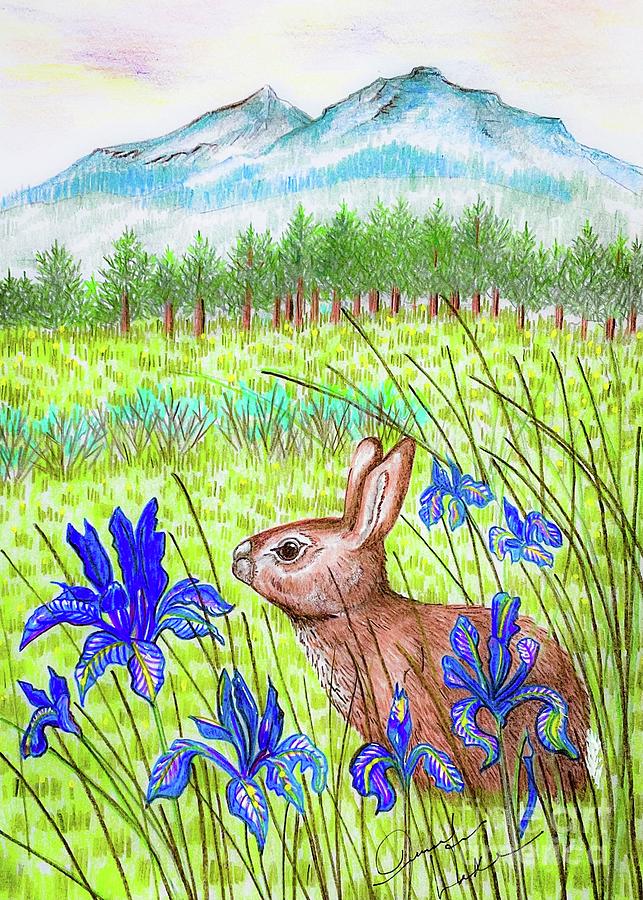 Mountain Bunny in Iris Drawing by Jennifer Lake