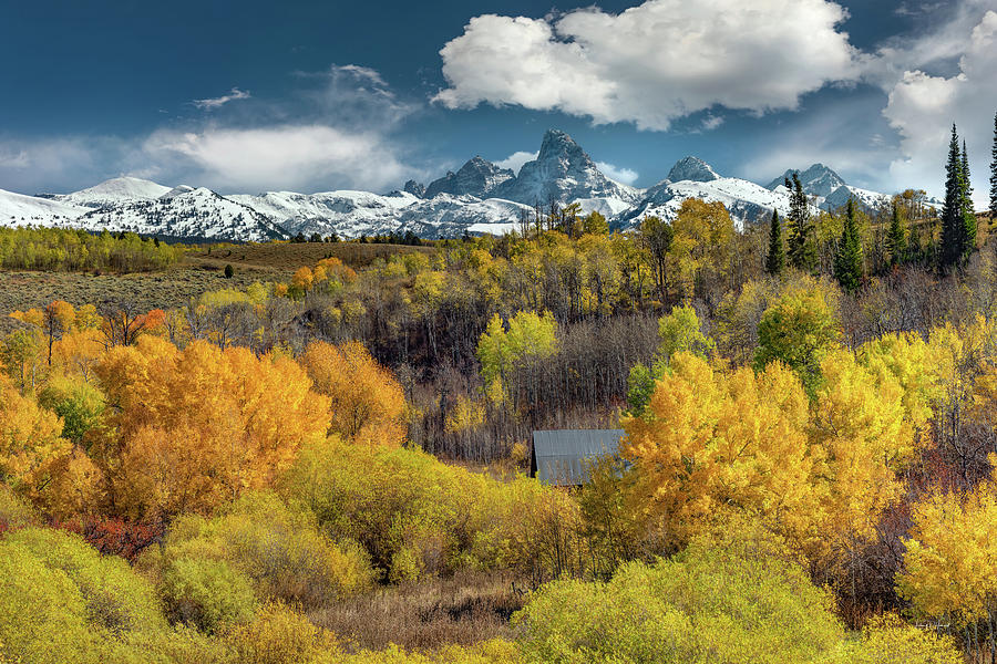 Mountain Cabin in Autumn Photograph by Leland D Howard