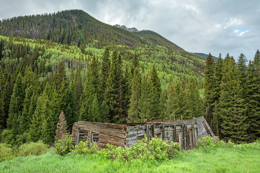 Mountain Cabin Relic Photograph by Denise Bush