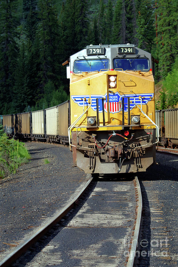 Mountain Coal Train Photograph by Douglas Taylor