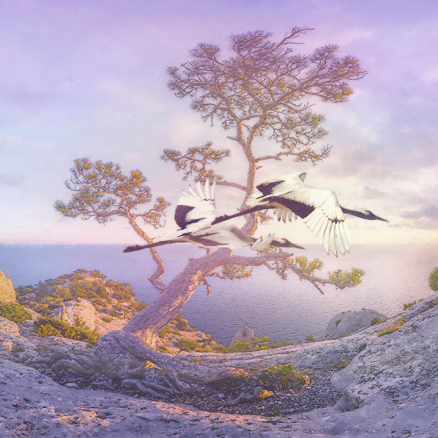 Mountain Crane I Painting by Steve Hunziker