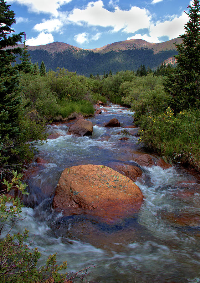 Mountain Creek Photograph by Bob Falcone
