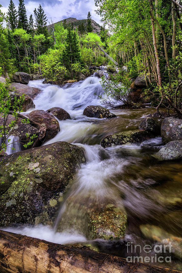 Mountain Creek In Rocky Mountain National Park Photograph