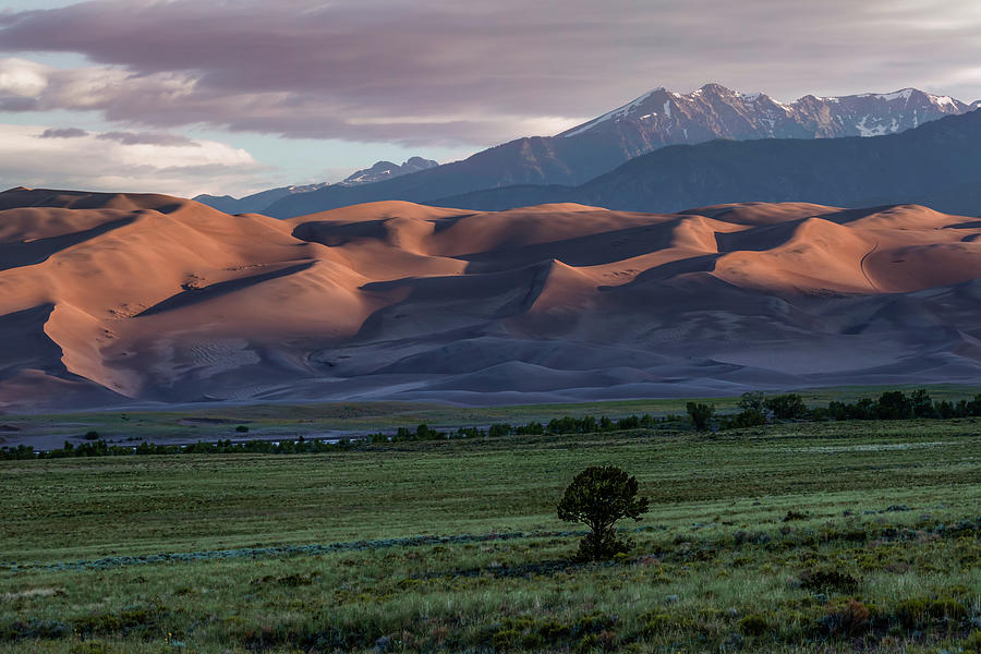 Mountain Dunes Photograph By Leif Mosher - Fine Art America