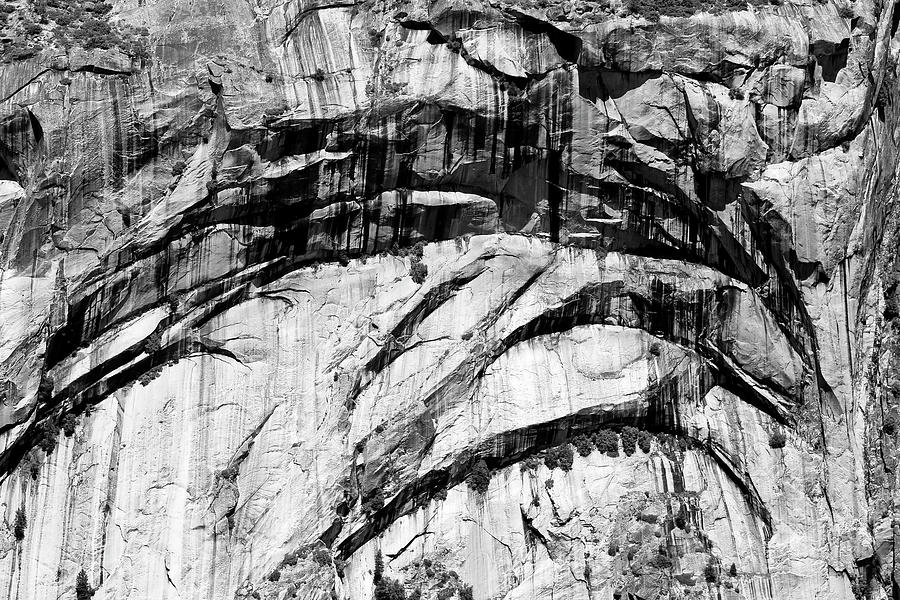 Spirit of Yosemite Photograph by Eyes Of CC