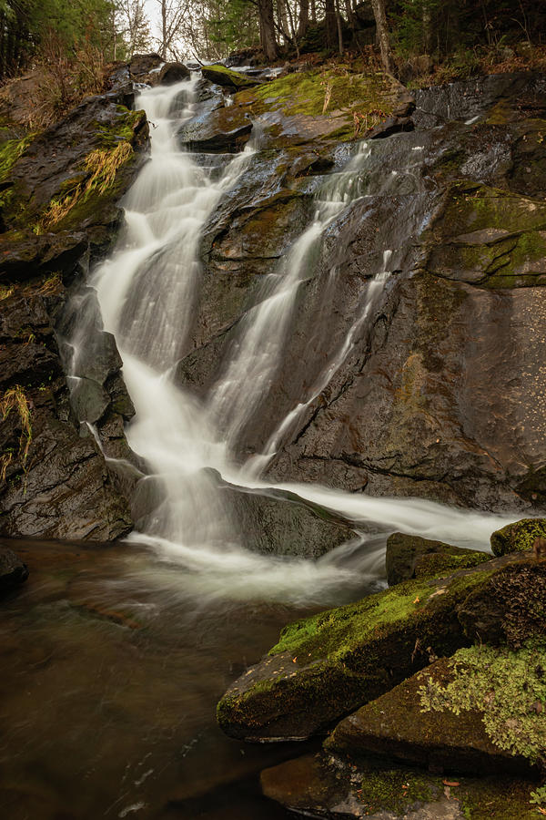 Molly falls Photograph by Andrew Deering - Fine Art America