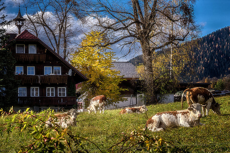 Mountain Farmhouse Photograph by Wolfgang Stocker