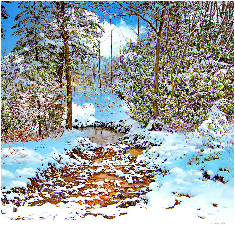 Mountain Feeder Stream in Winter Photograph by A Macarthur Gurmankin