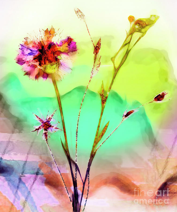 Mountain Flower Digital Art by Judi Bagwell