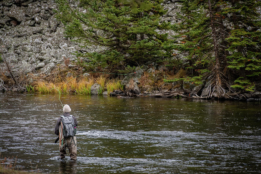 Mountain Fly Fishing Photograph by Paul Freidlund