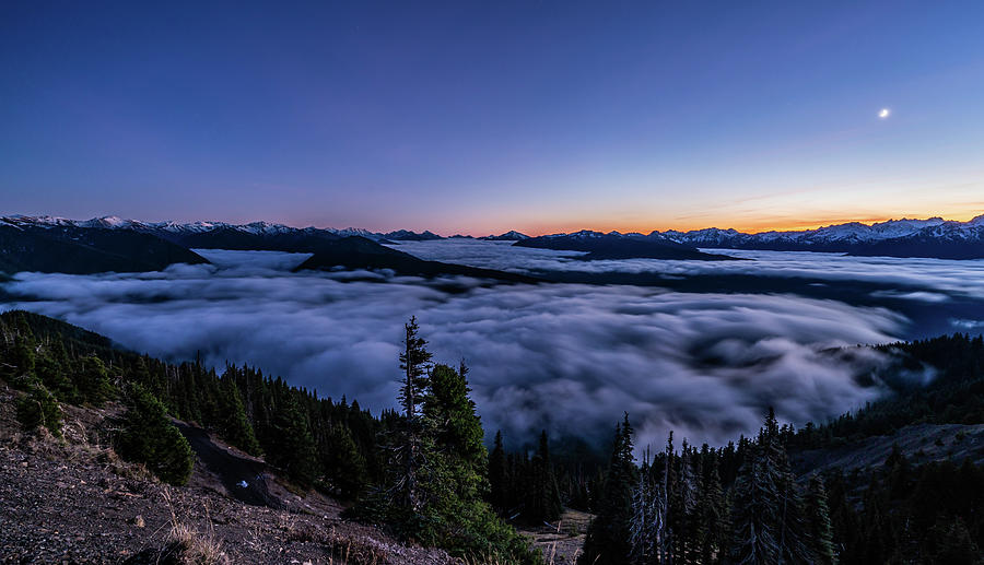Mountain fog Photograph by Philip Cho