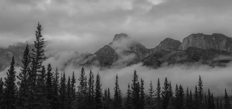 Banff National Park Photograph - Mountain Forest Panorama by Dan Sproul