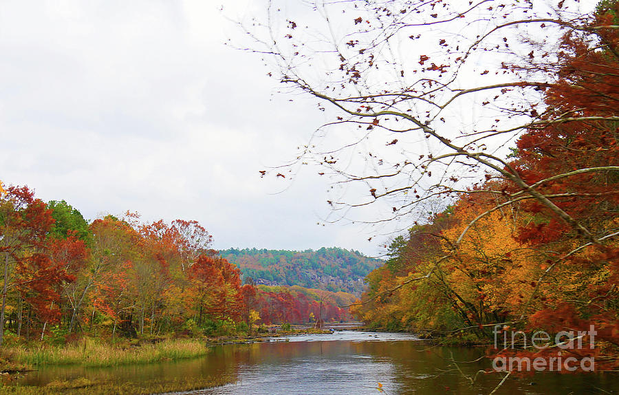 Mountain Fork River in Autumn Photograph by On da Raks