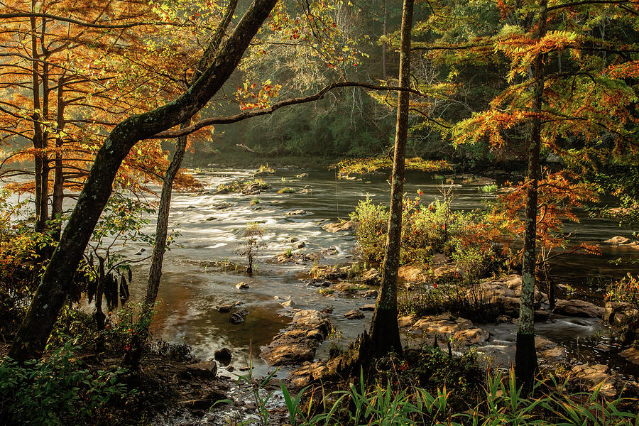 Mountain Fork River in Fall Morning Photograph by Iris Greenwell