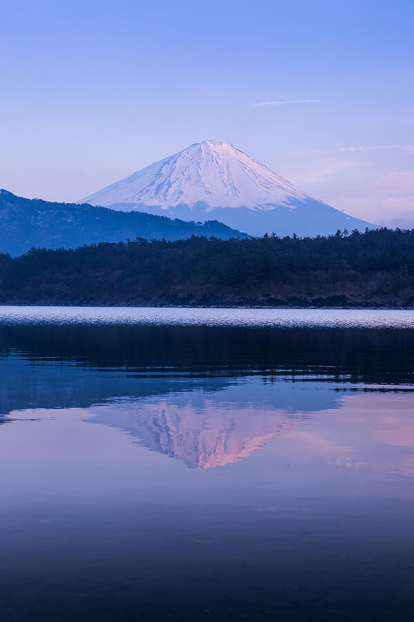 Mountain Fuji and Saiko lake Photograph by Sakarin Sawasdinaka Mountain Fuji and Saiko lake Photograph by Sakarin Sawasdinaka